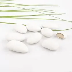 Dragées amandes biologiques, boîte de 500 g