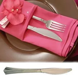 Couvert jetable - Couteau plastique imitation inox X50 