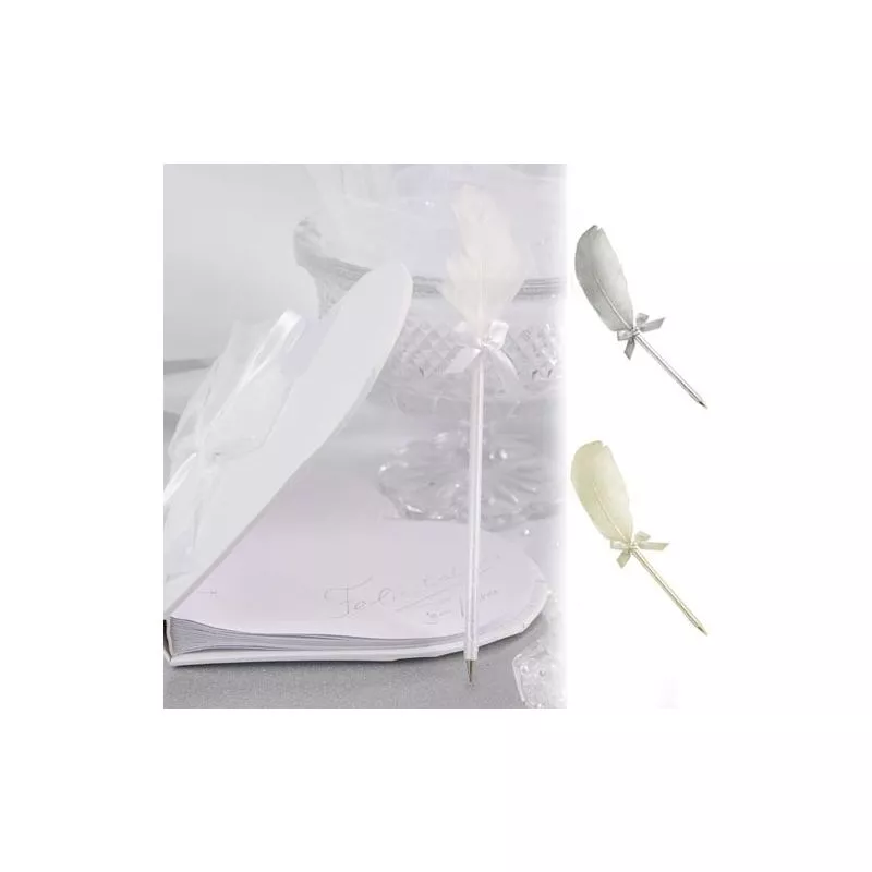 Stylo livre d'or plume