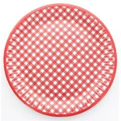 Assiette jetable en carton motif Vichy Vert - le lot de 10 assiettes