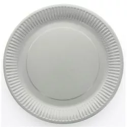 Assiette jetable Ø23cm Ronde (lot 10) - Gris