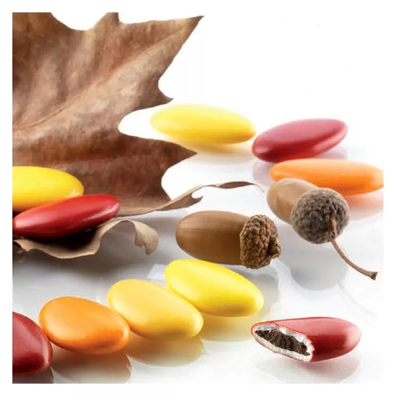 Dragées chocolat thème Boisé - 1kg