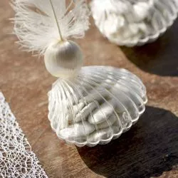 3 Coquillages boite dragées