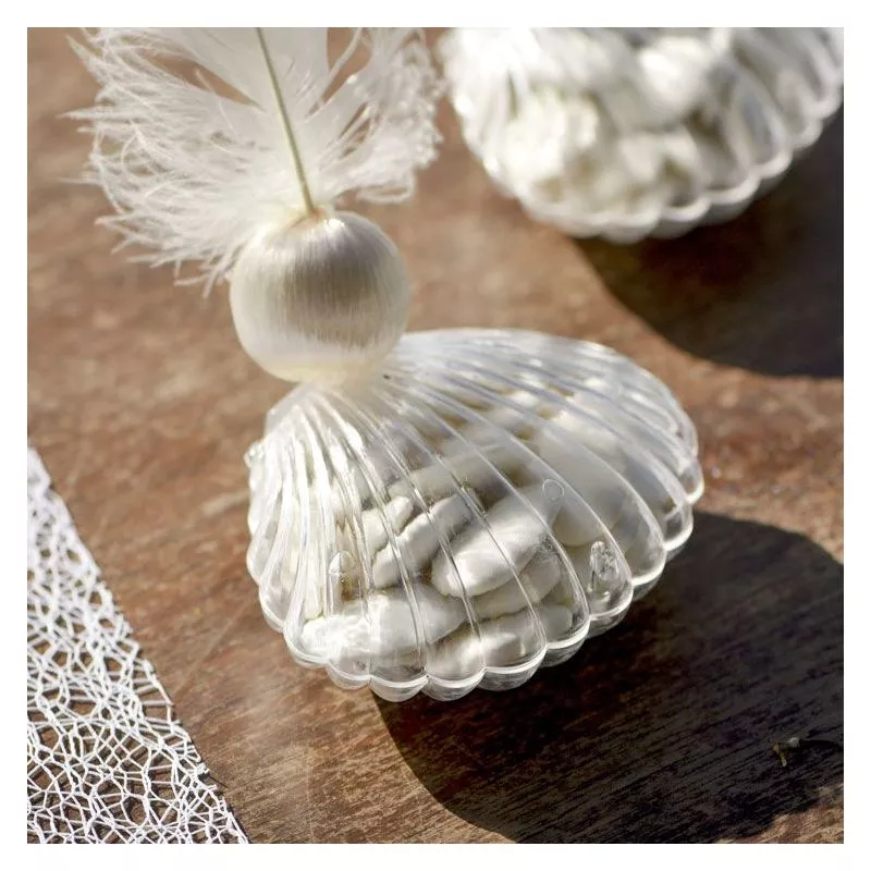 3 Coquillages boite dragées