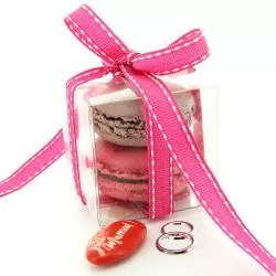 10 boites Macaron transparent