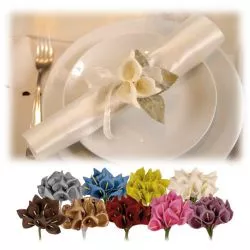 Mini Arum x12