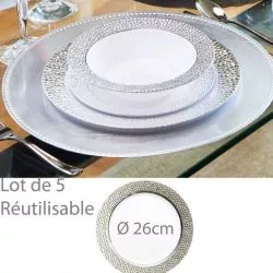 Assiette reutilisable argentée Prestige 26cm (lot de 5)