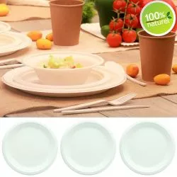 Assiette ronde biodégradable Canne à sucre (lot 25)