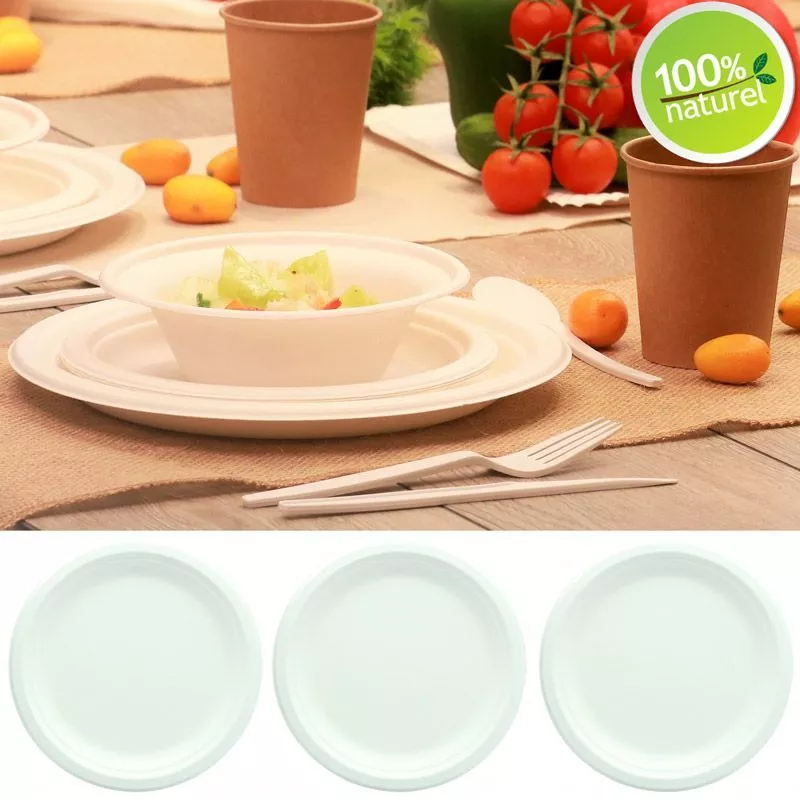 Assiette ronde biodégradable Canne à sucre (lot 25)