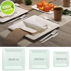 Assiette Biodégradable Canne à sucre (lot 25)