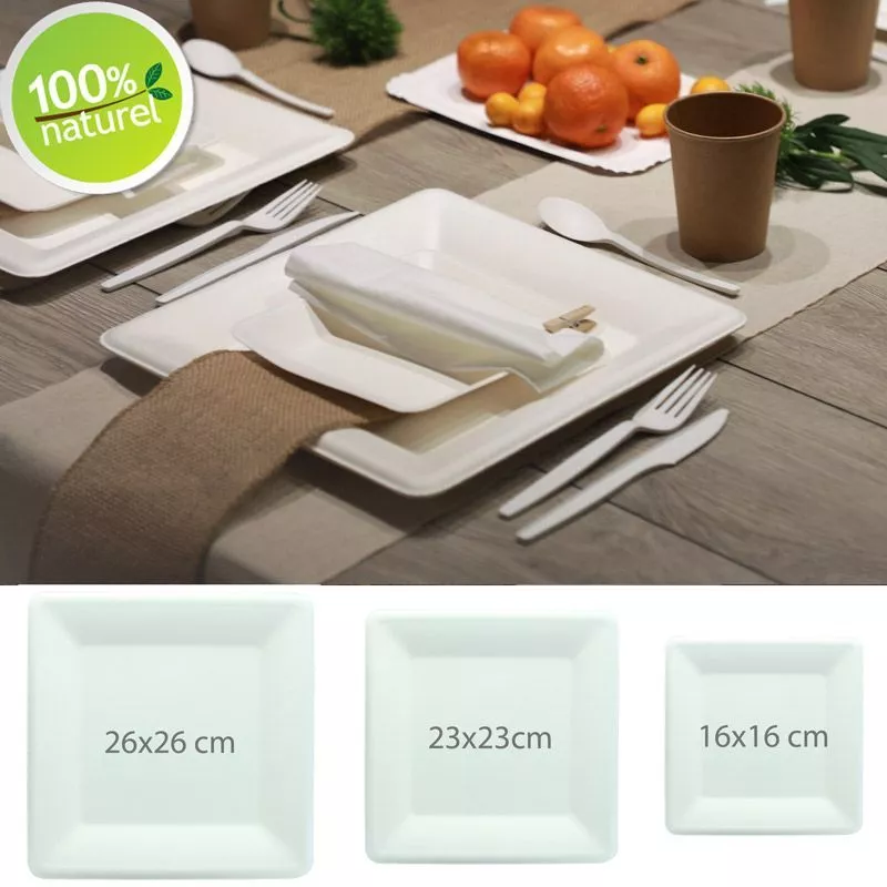 Assiette Biodégradable Canne à sucre (lot 25)