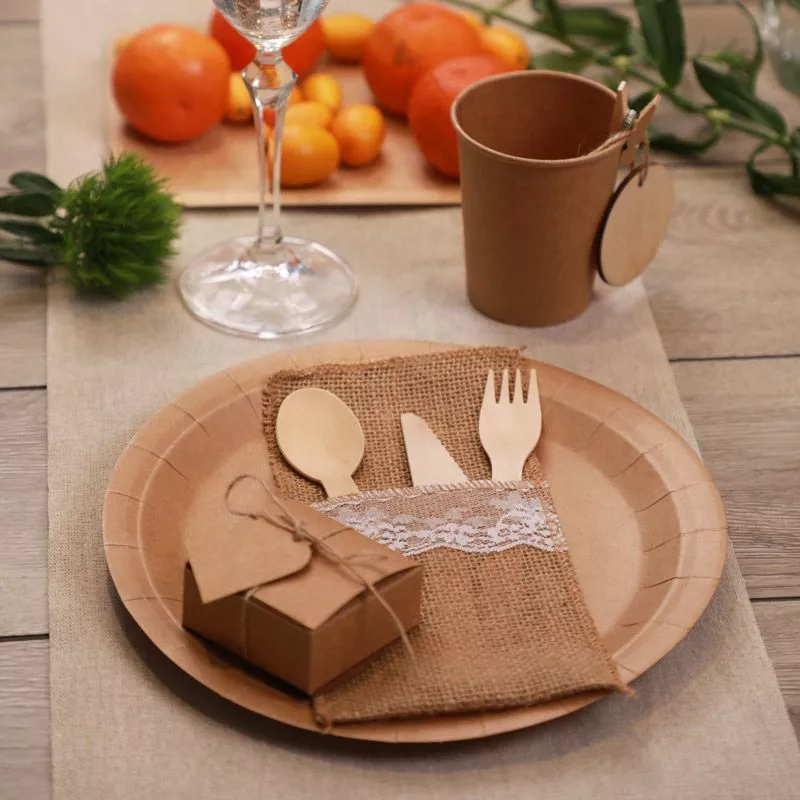 Assiette jetable Kraft Ø23cm (lot 10)