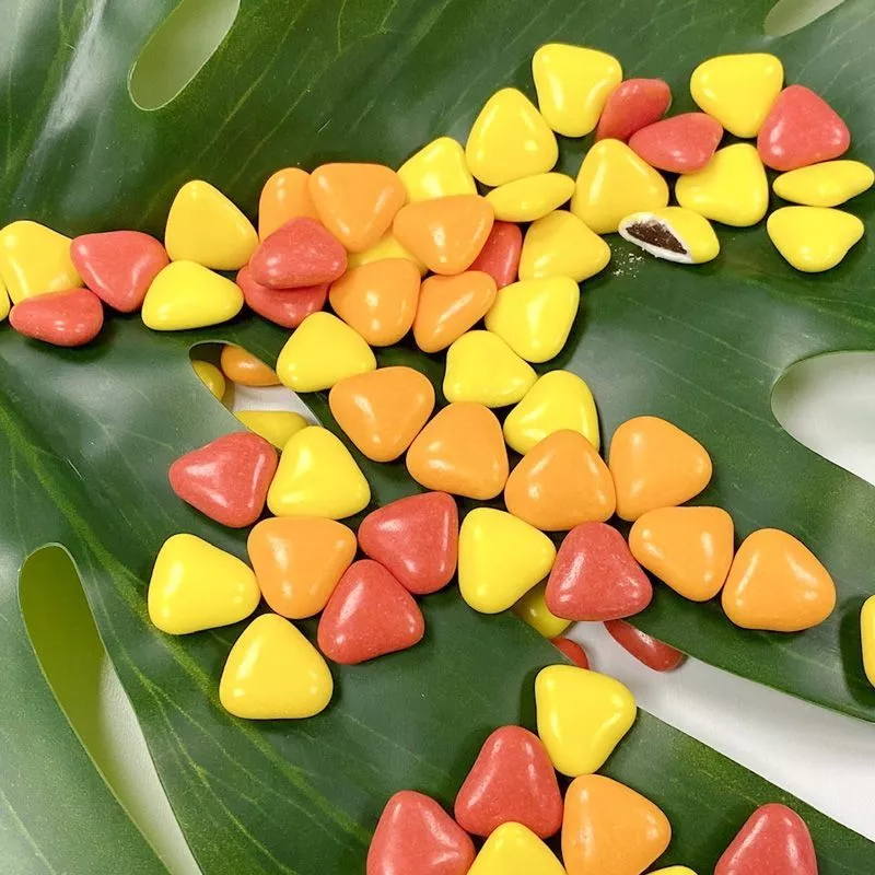 Dragées Coeurs chocolat thème Boisé - 500gr