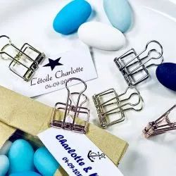 10 Pinces double clip fil fer Rose Gold, Or, Argent