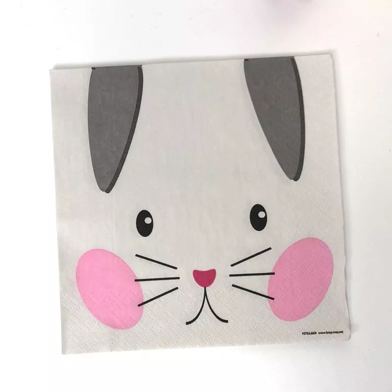 Serviettes papier chat 33 cm lot de 20 - Anniversaire