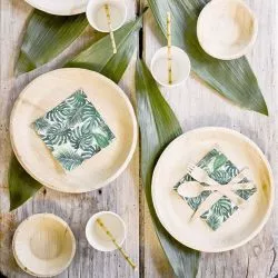 Grande Assiette biodégradable (lot de 25)