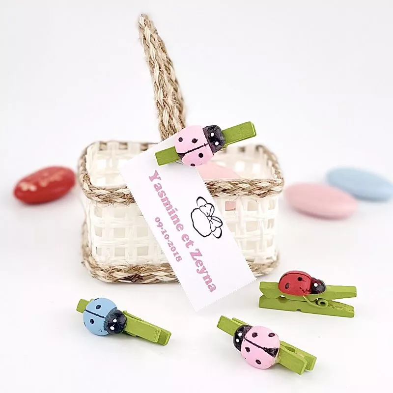 Mini pince à linge Coccinelle 3 cm (Les 12)
