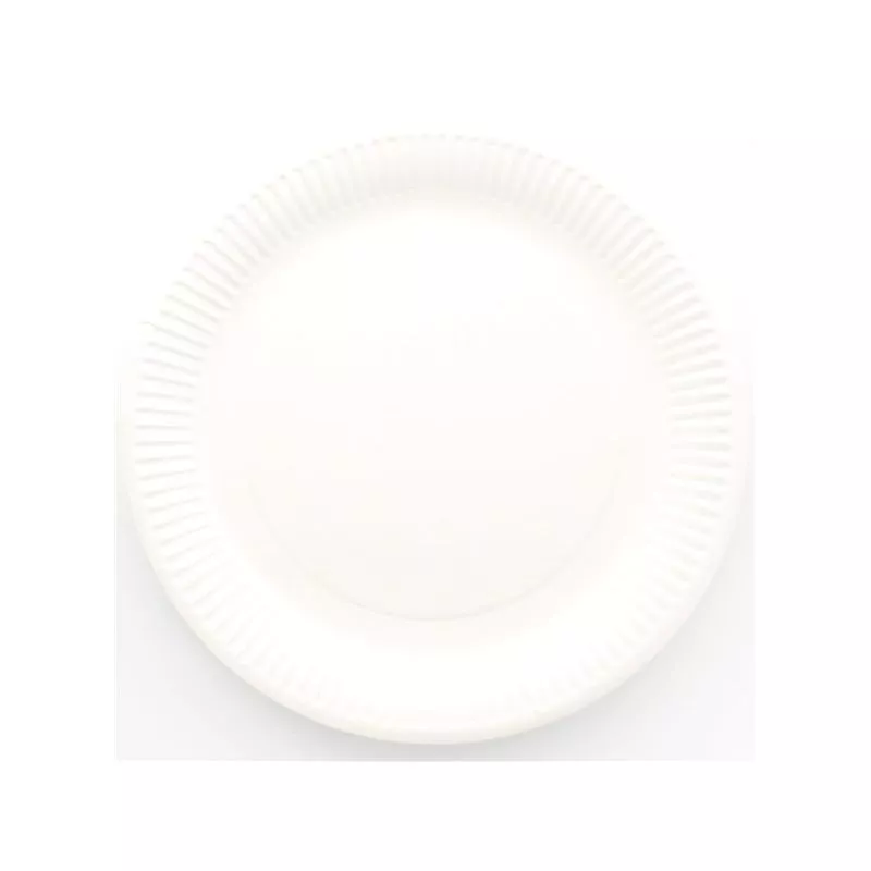 Assiette jetable Ø23cm Ronde (lot 10) - Blanc