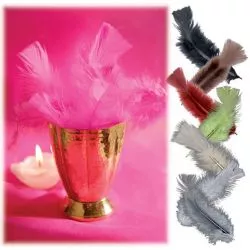 Plume déco (13cm) X30 