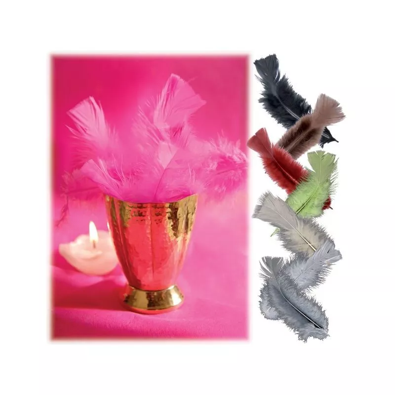 Plume déco (13cm) X30 